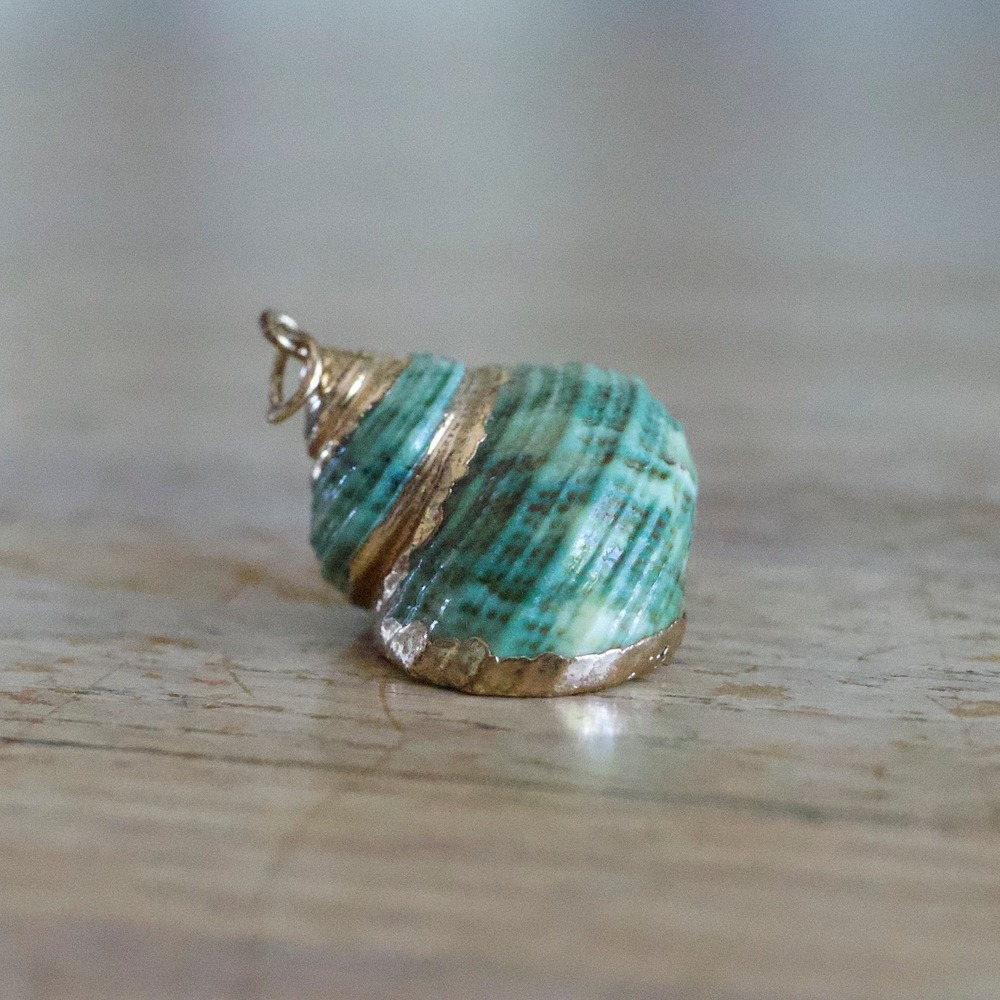 Green Teal Spiral Seashell Pendant Gold Trim Coastal Boho Nautical Charm 1 Inch - Picture 2 of 5